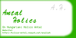 antal holics business card